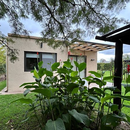 Loft Los Cerezos En Vistalba, Zona De Vinedos Y Bodegas 루한데쿠요 외부 사진