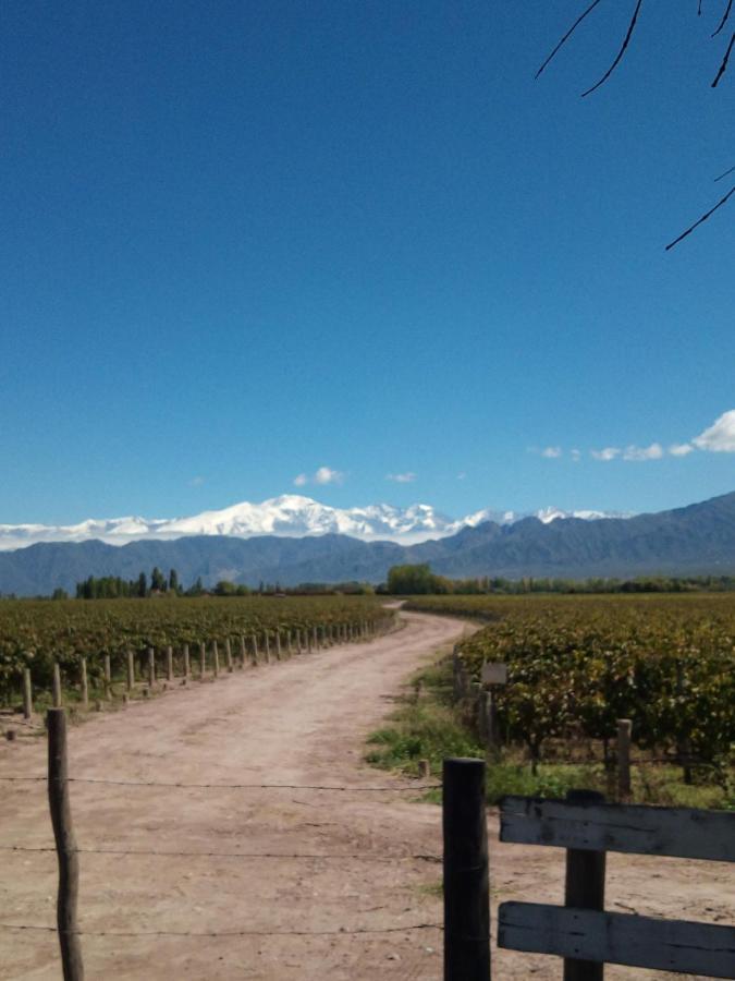 Loft Los Cerezos En Vistalba, Zona De Vinedos Y Bodegas 루한데쿠요 외부 사진