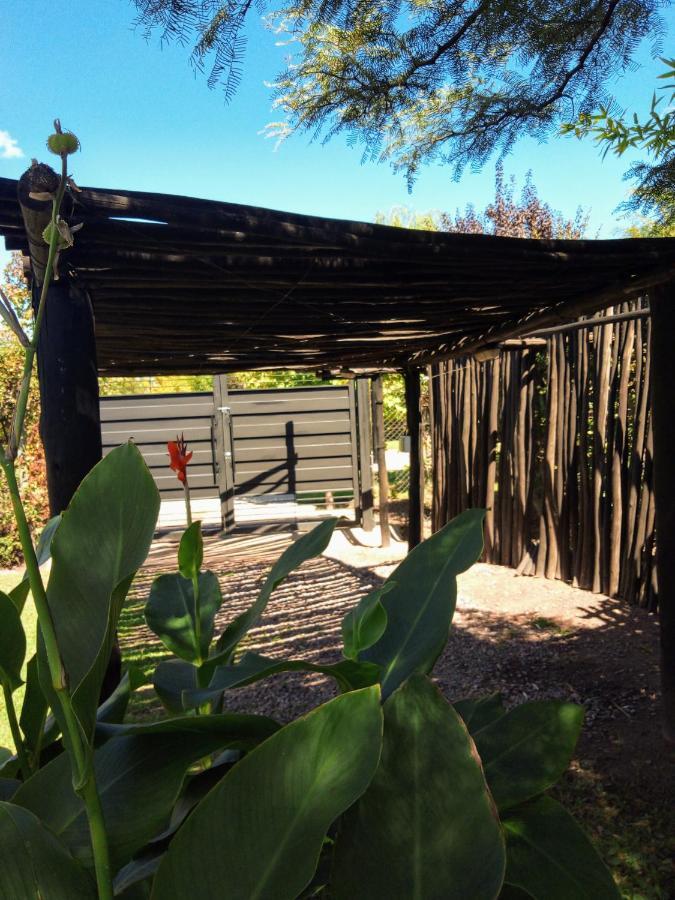 Loft Los Cerezos En Vistalba, Zona De Vinedos Y Bodegas 루한데쿠요 외부 사진