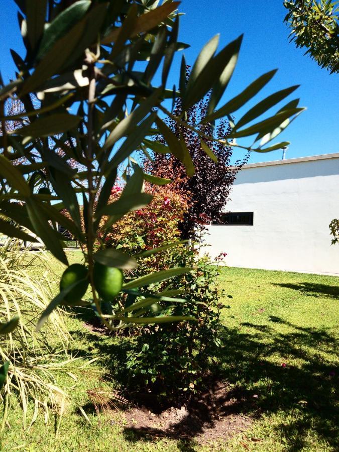 Loft Los Cerezos En Vistalba, Zona De Vinedos Y Bodegas 루한데쿠요 외부 사진